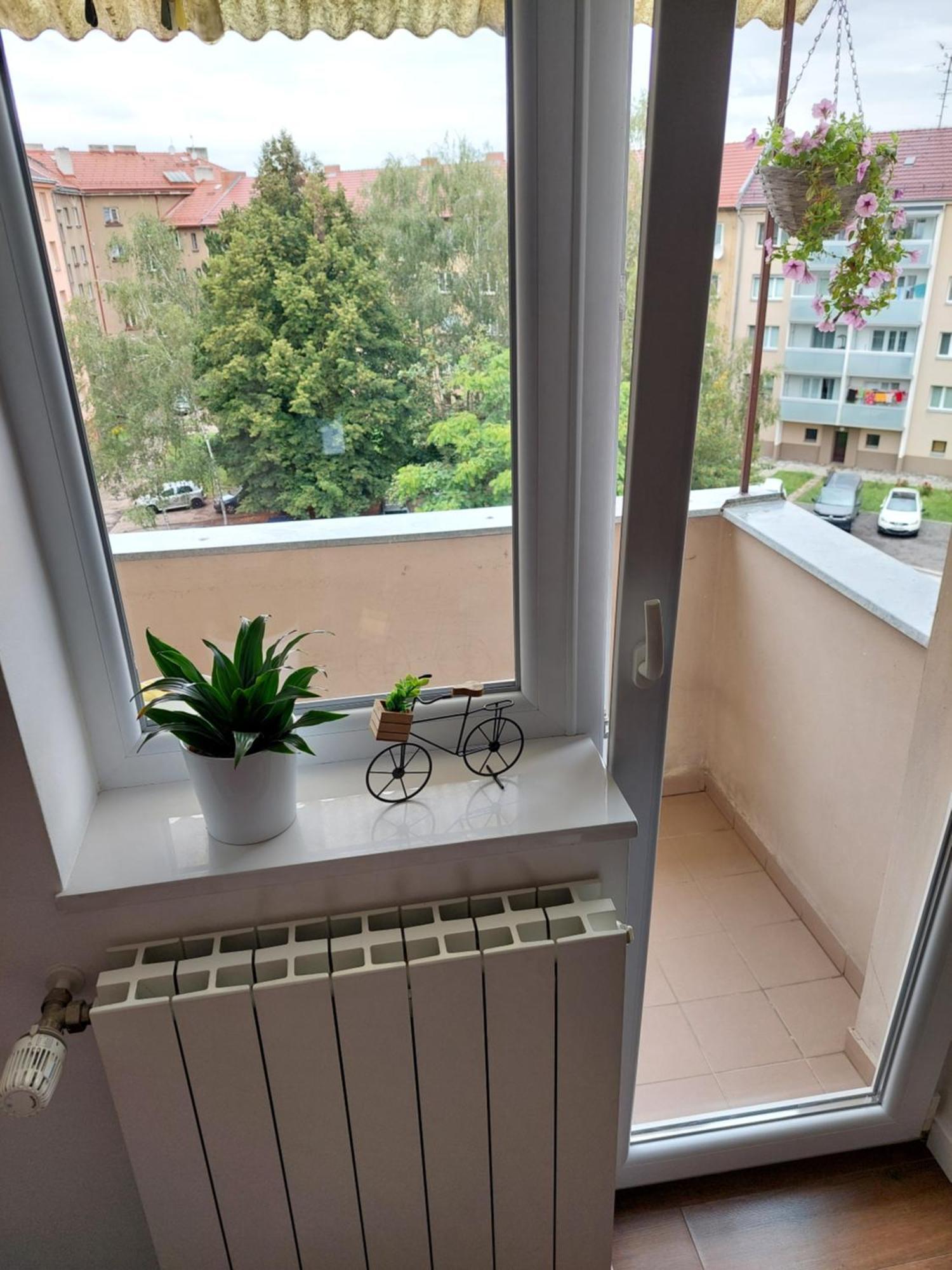 B&B Resslova Hradec Králové المظهر الخارجي الصورة